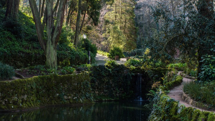 Walking trails in the village / Photo by Red Mirror on Unsplash