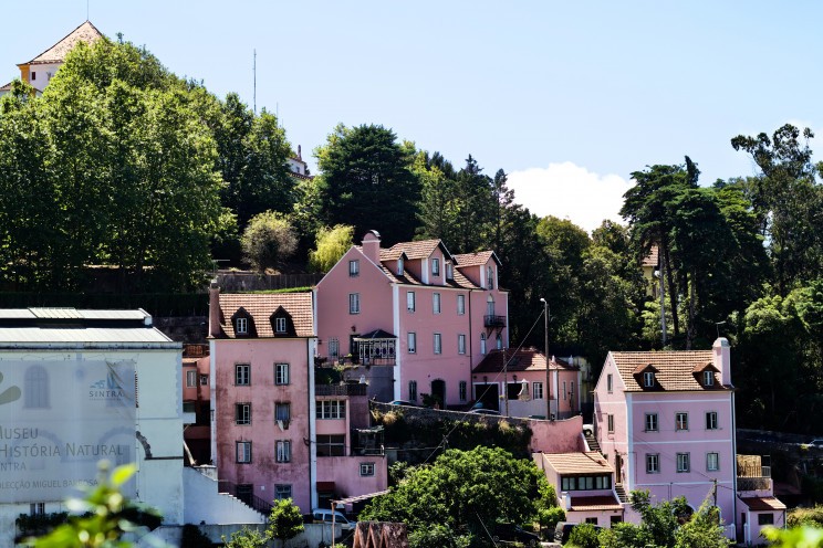 The village / Photo by Suad Kamardeen on Unsplash The village / Photo by Suad Kamardeen on Unsplash