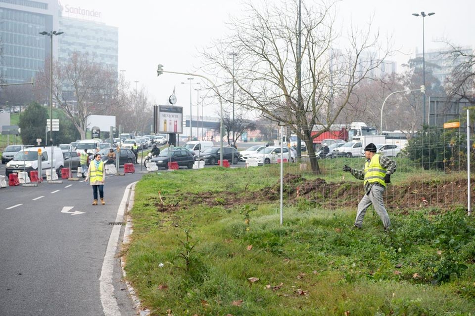 Obras na Praça de Espanha em marcha: trânsito e carros dão lugar a um (grande) jardim