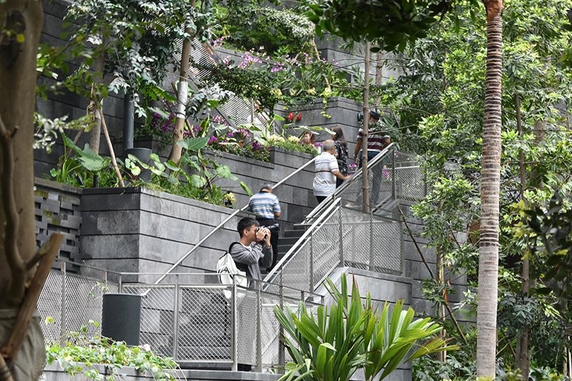 A vegetação é o elemento principal