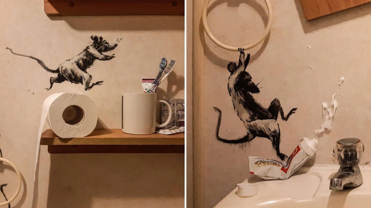 Nove ratazanas enlouquecidas em plena pandemia