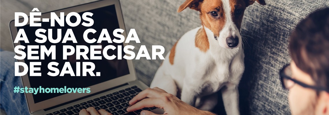 HomeLovers: como a imobiliária nascida e criada no digital enfrenta a pandemia