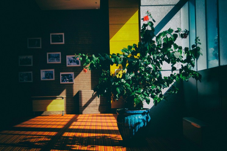Photo by Sanetwo Sodbayar on Unsplash