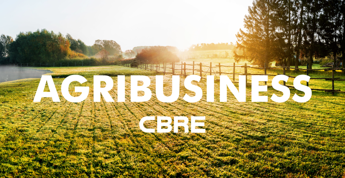 Imóveis e terrenos agrícolas despertam interesse de investidores