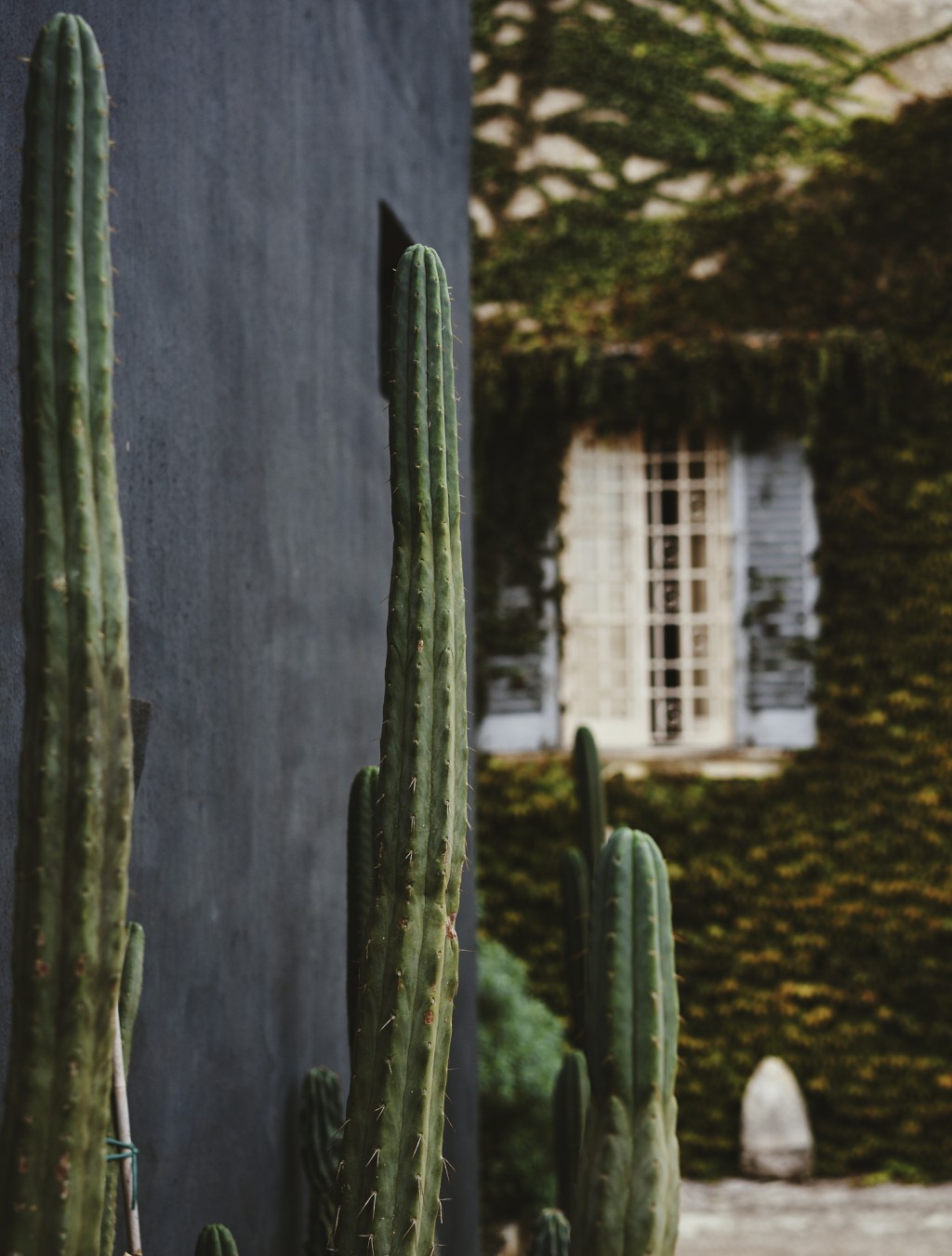 Jardins