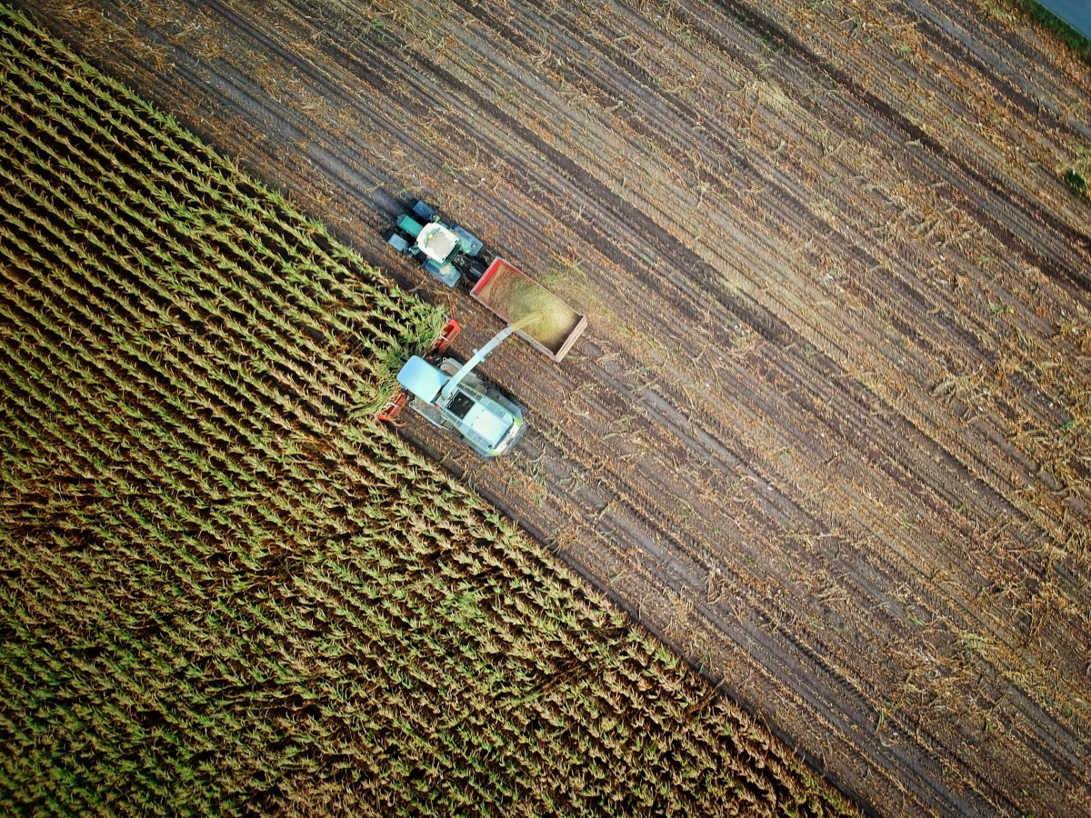 Bolsa de Terras com 28 hectares para arrendar para exploração agropecuária