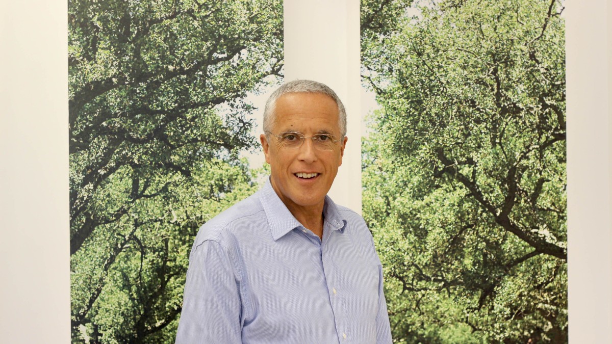 Cortiça na construção: “Existe uma procura crescente por materiais mais amigos do ambiente”