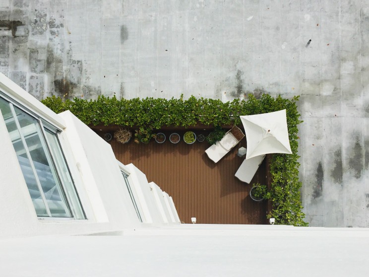 Photo de Nidia Dias sur Unsplash Photo de Nidia Dias sur Unsplash