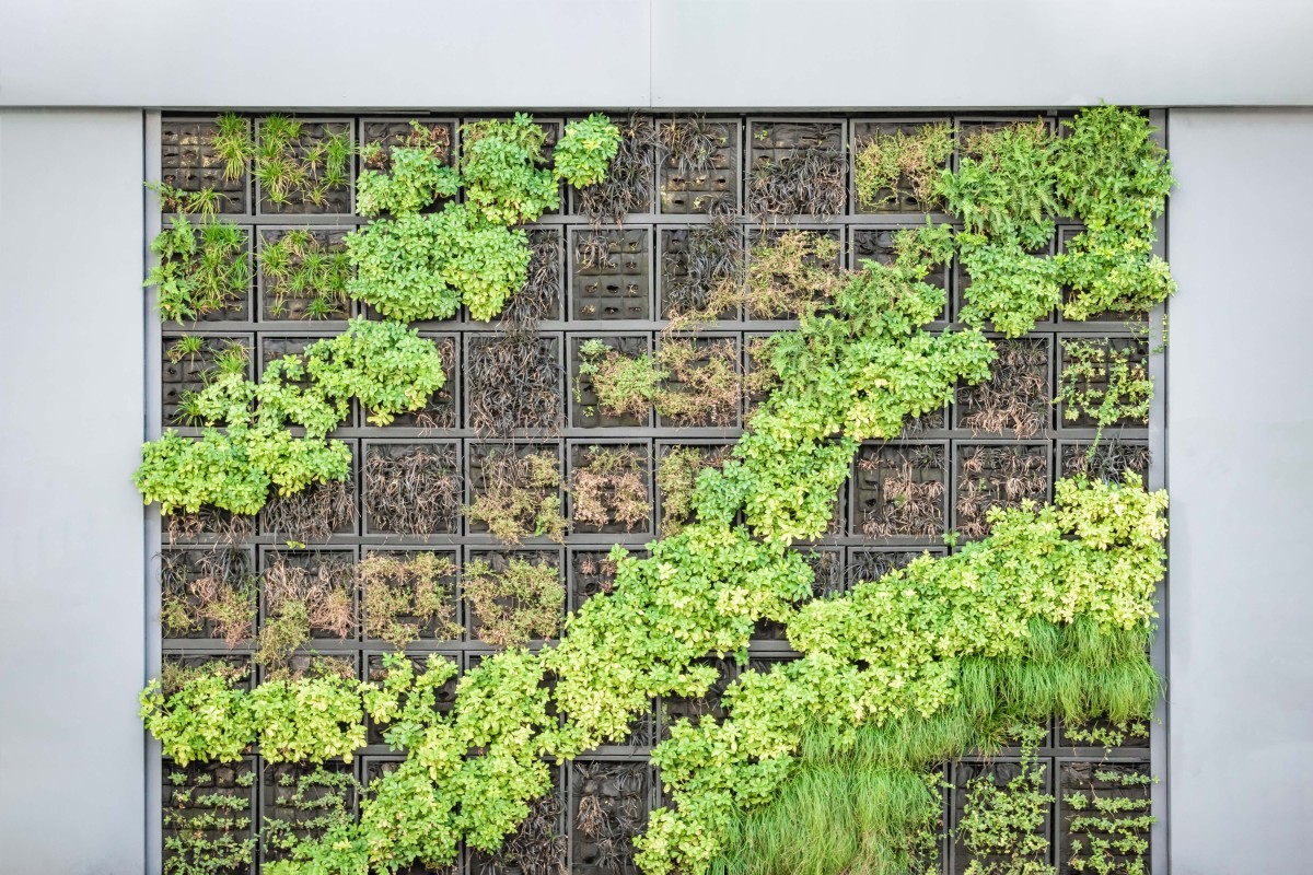 Create a vertical garden / Photo by Paweł Czerwiński on Unsplash