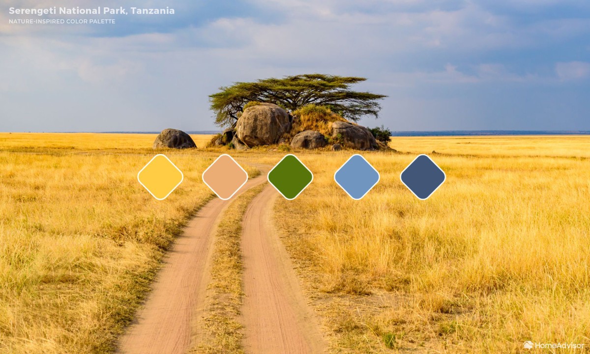 6. Serengeti National Park (Tanzânia) 6. Serengeti National Park (Tanzânia)