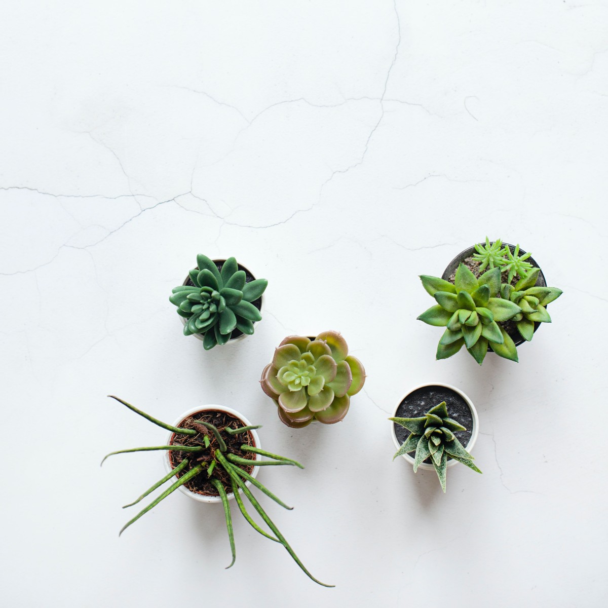 As 15 tendências de decoração de interiores mais populares do Instagram