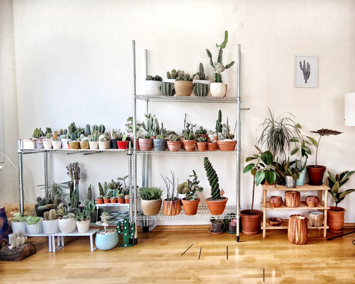 As 15 tendências de decoração de interiores mais populares do Instagram