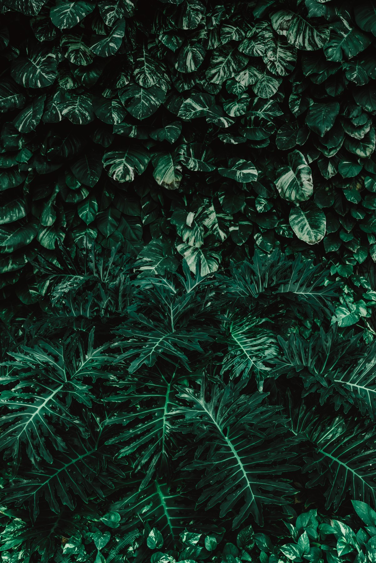 As 15 tendências de decoração de interiores mais populares do Instagram