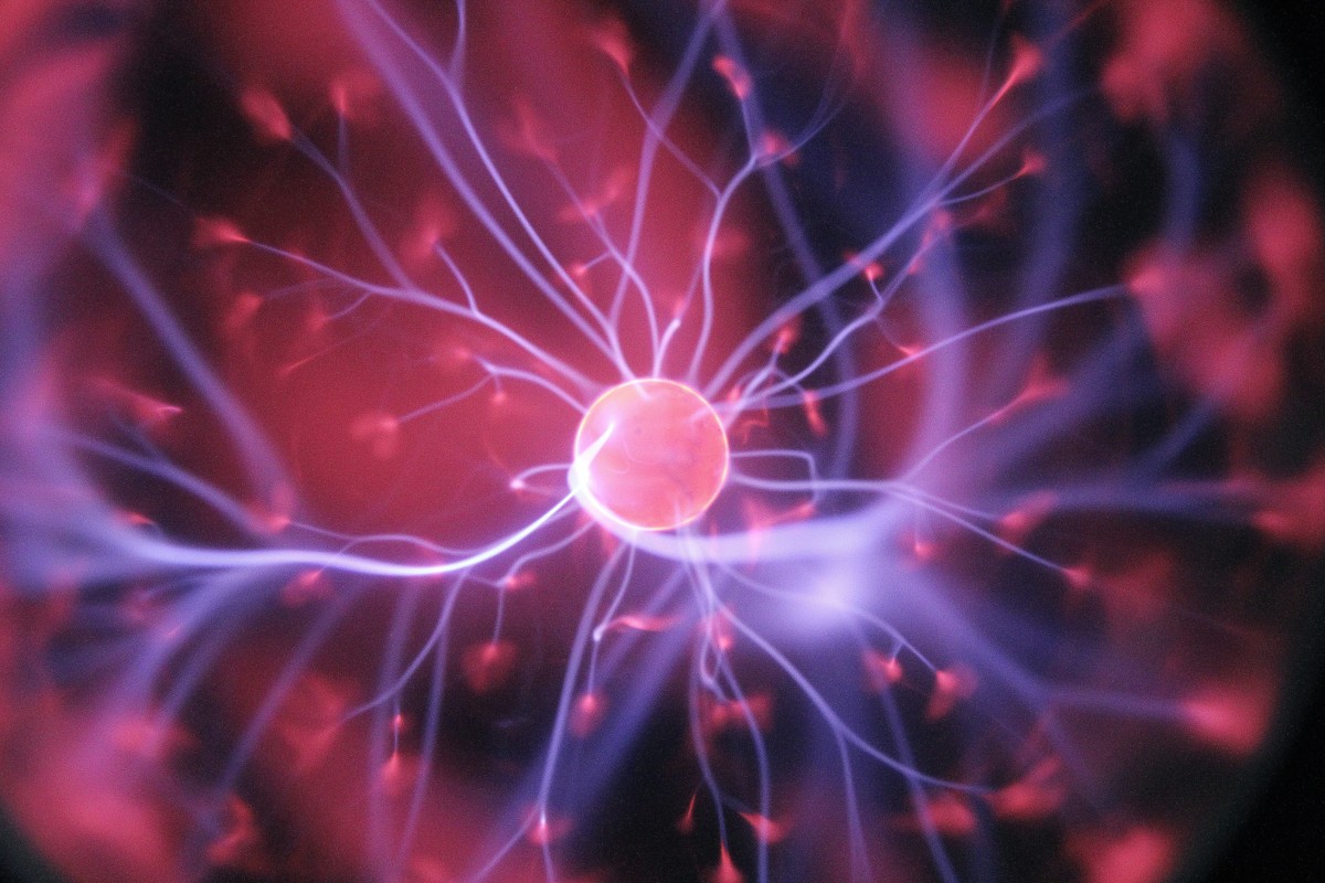 Neurociência para gerir pessoas e negócios na construção: dstgroup vai formar trabalhadores