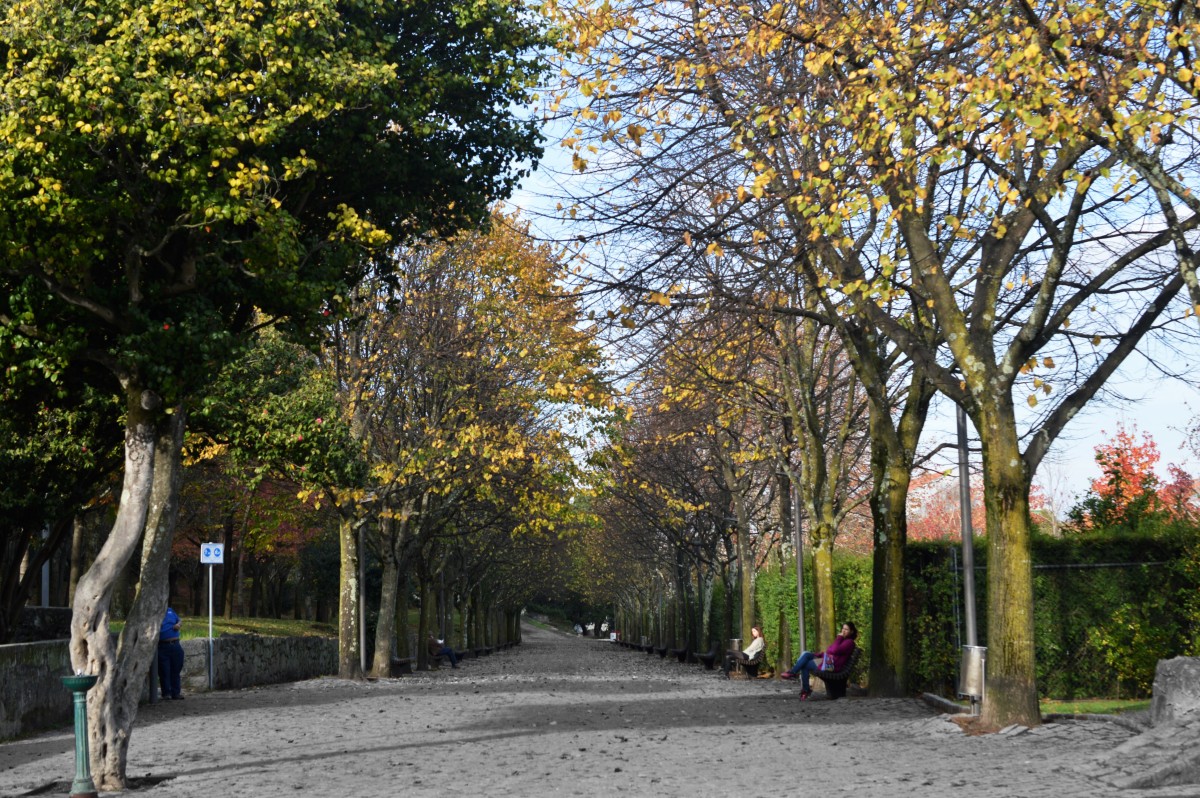 Câmara do Porto aposta na “promoção de estilos de vida saudáveis” – 18 jardins vão ter miniginásios