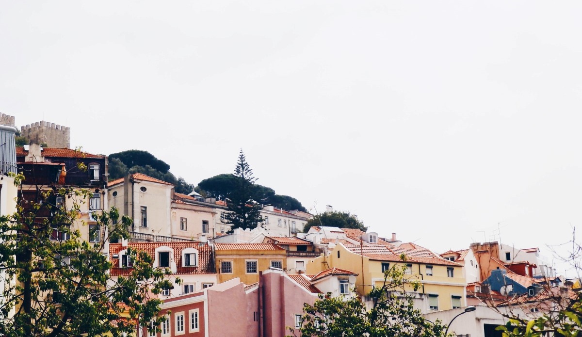 Fotografie de Luisa Azevedo pe Unsplash