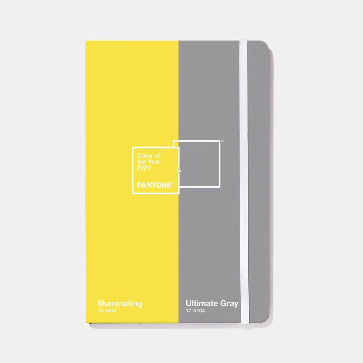 2021-003-pantone-journal-color-of-the-year-ultimate-gray-illuminating-1