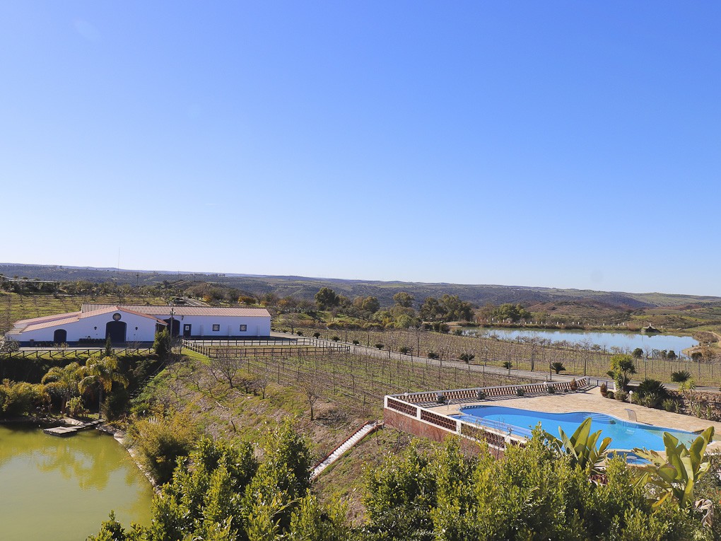 Ganhar o Euromilhões ou a lotaria e sonhar com uma destas bonitas (e luxuosas) casas de campo