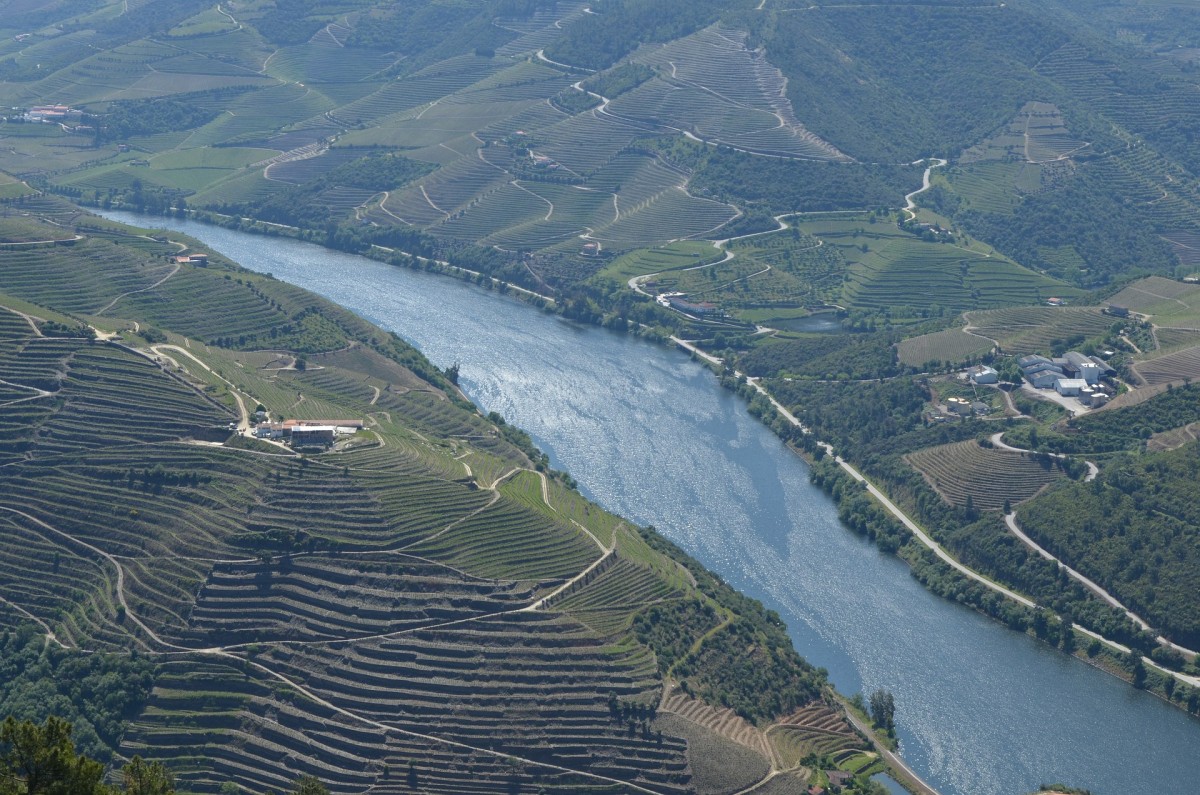 Estatuto de património da humanidade do Douro em risco com construção de hotel em Mesão Frio