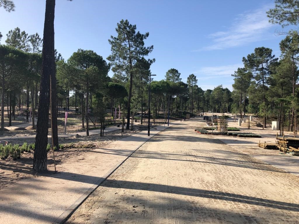 Vanguard Properties: “Apesar da pandemia os resultados continuam a ser muito positivos”