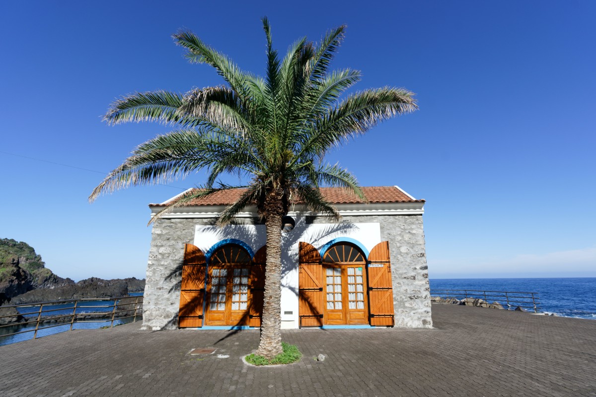 Nómadas digitais já chegaram à Madeira: são mais de 70 (mas há milhares de interessados)