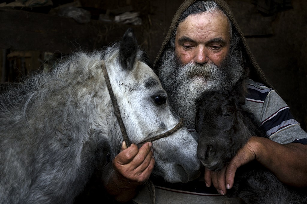 A ruralidade vista por dentro: fotógrafo português vence prémio Travel Photographer of the Year