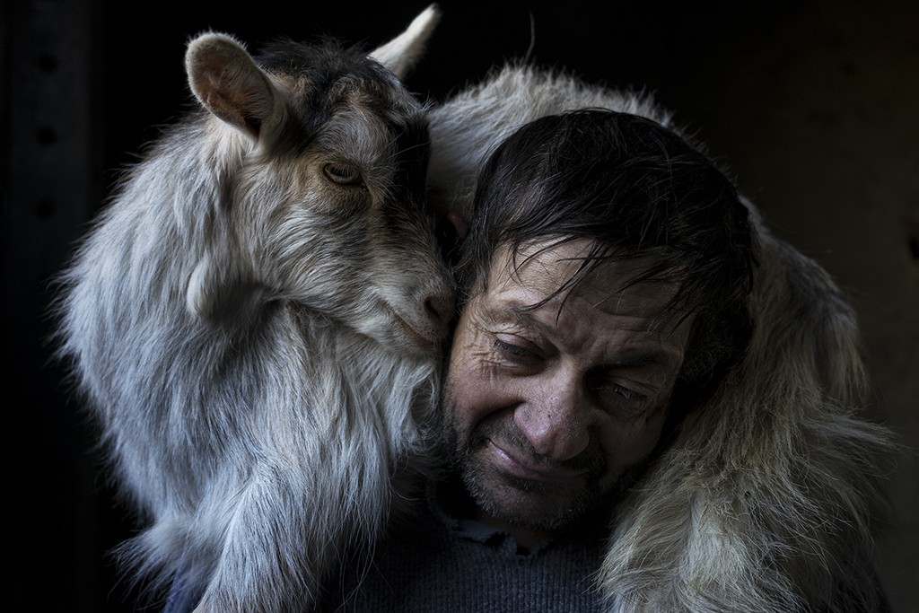 A ruralidade vista por dentro: fotógrafo português vence prémio Travel Photographer of the Year
