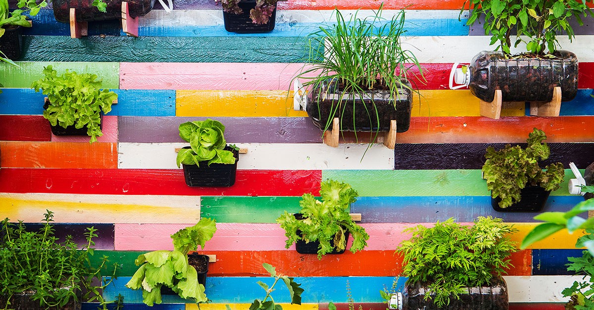 Como criar uma horta em casa: o que plantar e onde para ter produtos saborosos à mesa