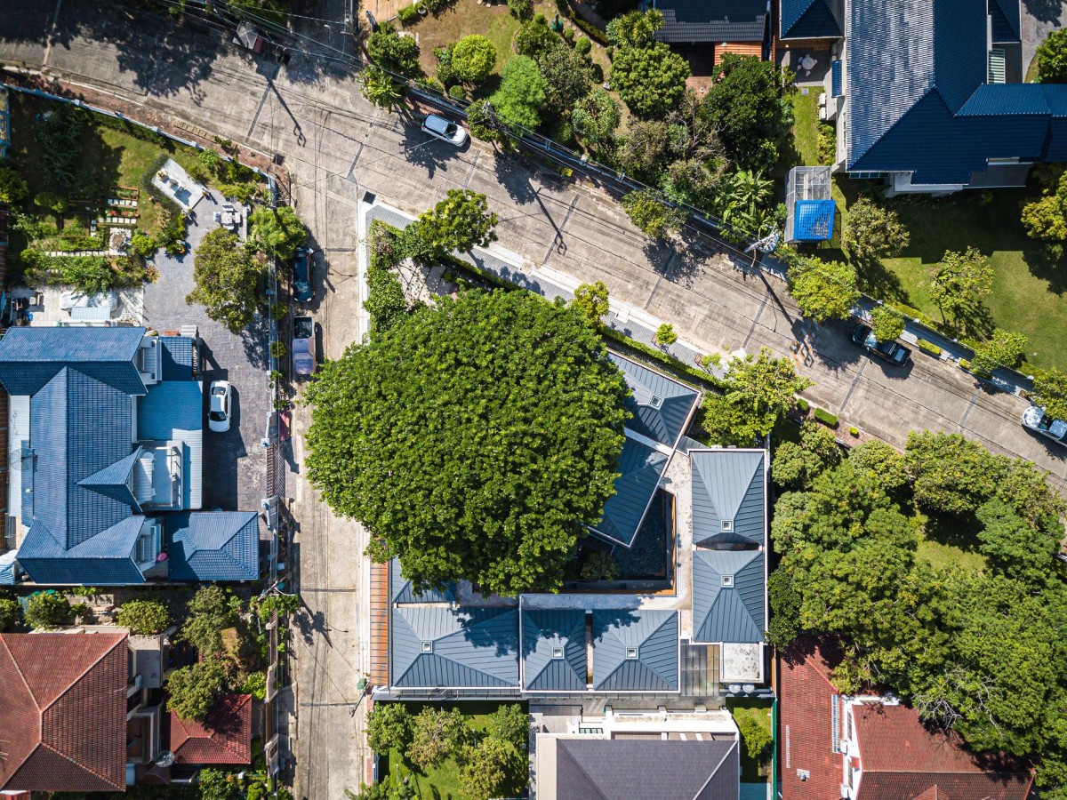 Destaca-se a grande dimensão da árvores