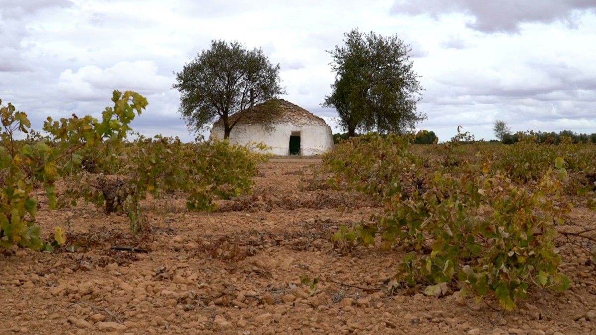 Os bombos de Tomelloso, uma construção de pedra que resiste à passagem do tempo