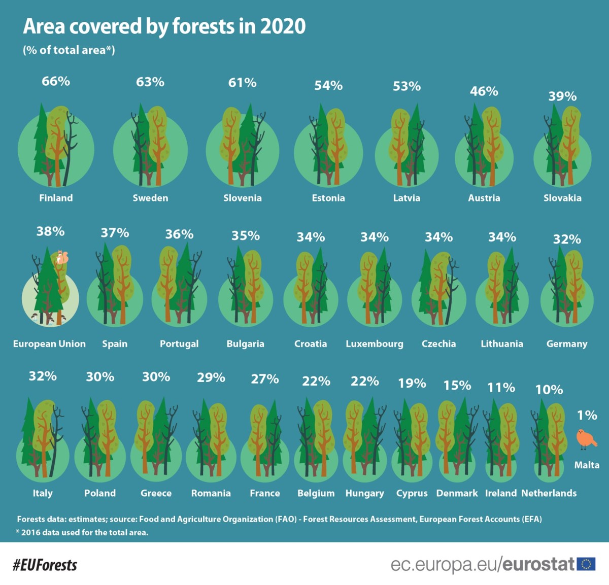 Portugal é o 9º país da UE com mais área florestal