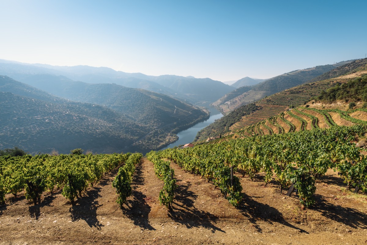 Construção de hotel de Mário Ferreira no Douro foi chumbada