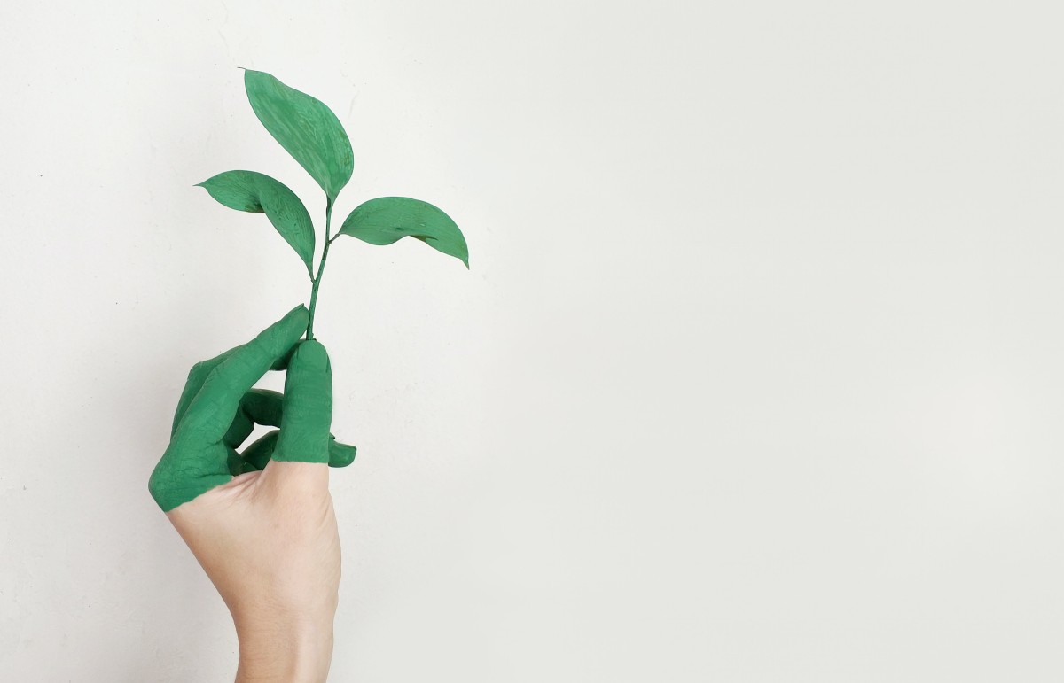 Eficiência energética nos edifícios com novas regras: entram em vigor a 1 de julho de 2021