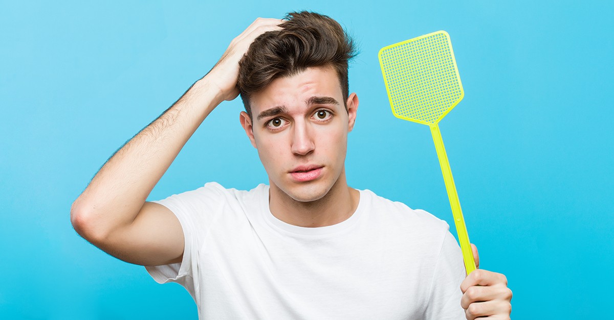 Desde baratas a ratos e mosquitos: como atuar com bichos com quem não se quer viver