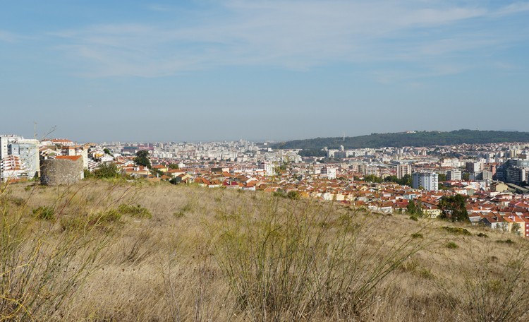 BCP coloca à venda 111 hectares junto a Lisboa com potencial de construção de casas para a classe média