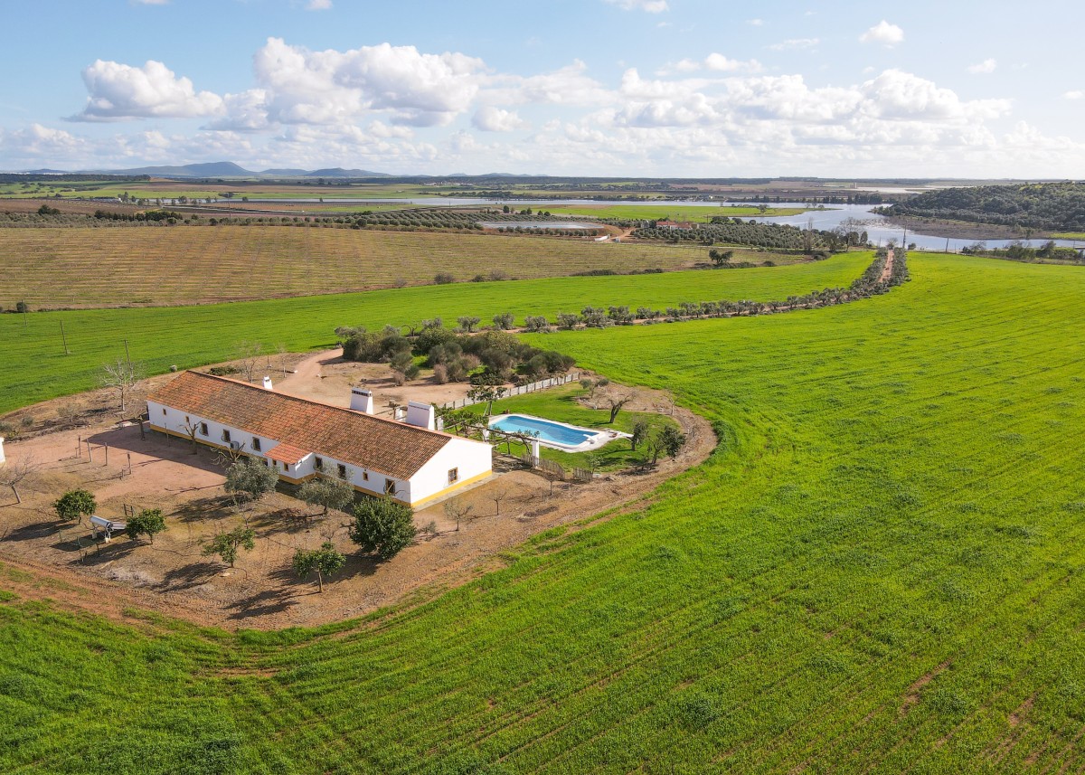 “A procura de imóveis rurais é cada vez maior e a oferta mais escassa, os preços vão disparar”