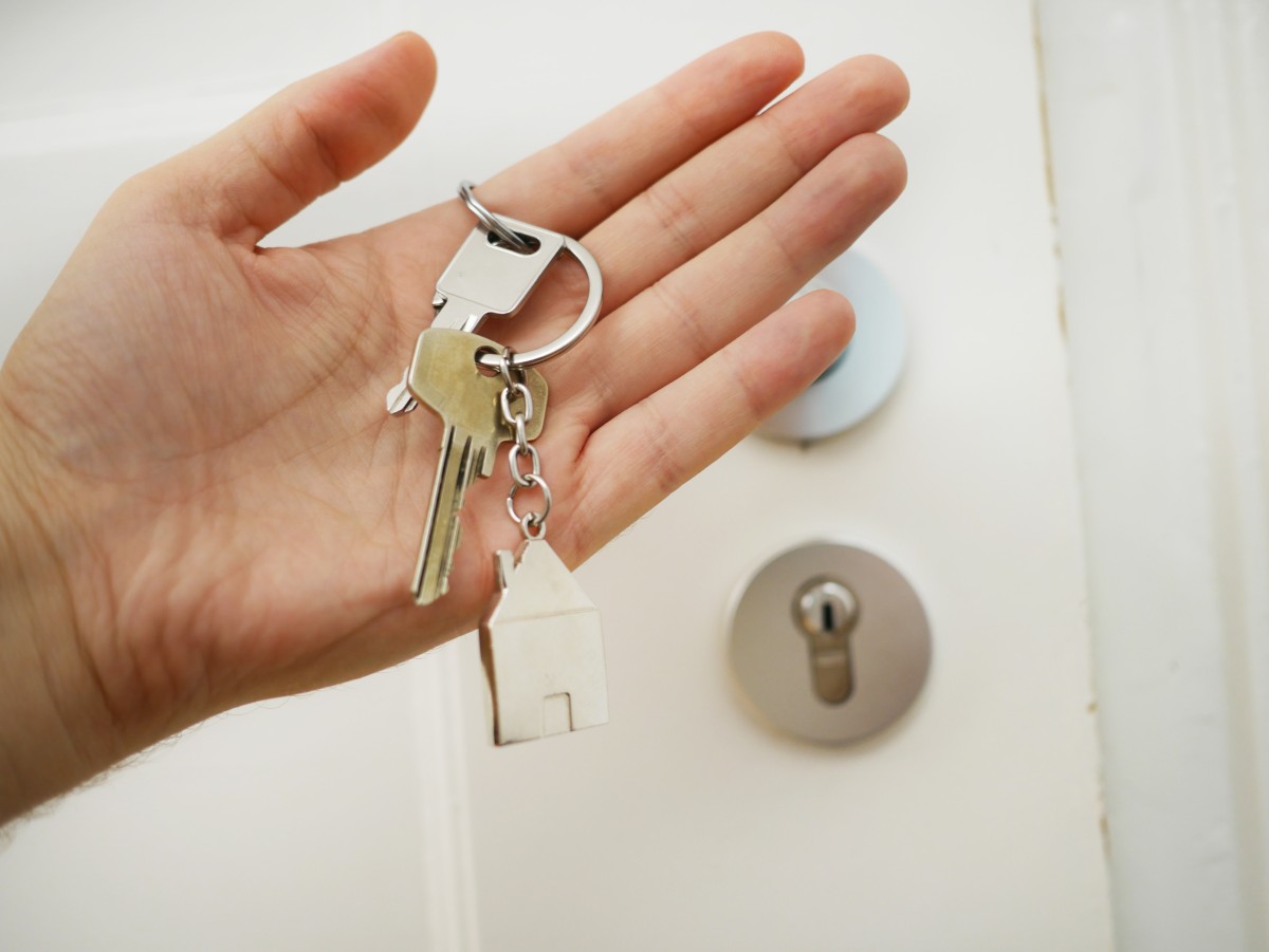 Assédio imobiliário: Governo recomendado a implementar o SIMA para apoiar inquilinos