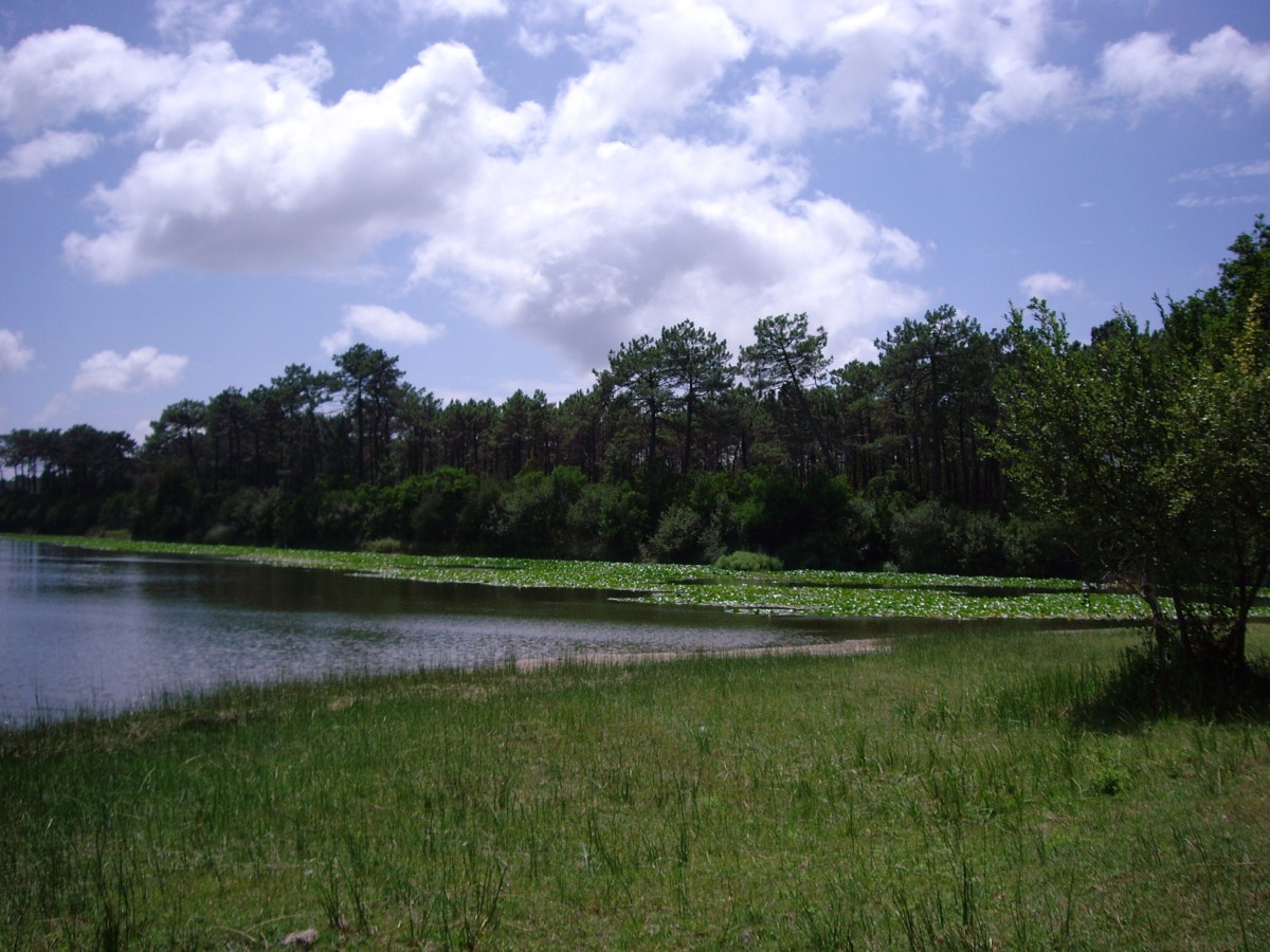 Lagoa da Vela