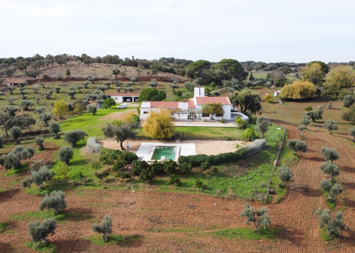 “A procura de imóveis rurais é cada vez maior e a oferta mais escassa, os preços vão disparar”