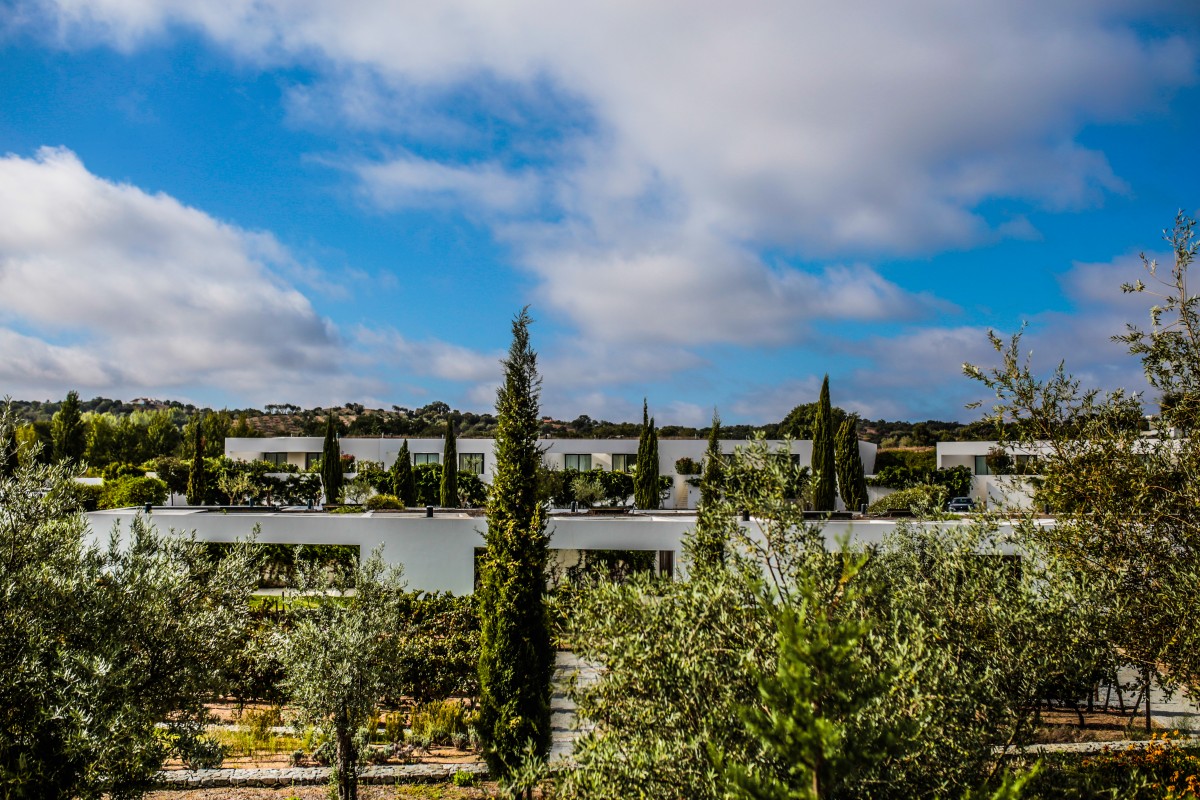 L’AND Vineyards: os segredos imobiliários do “lado selvagem da Europa”... no Alentejo