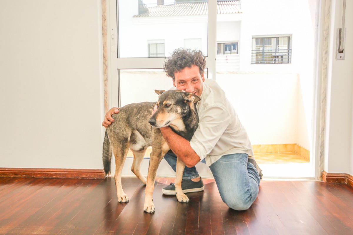Esta é a história de Lucky - o ‘cãosultor imobiliário’