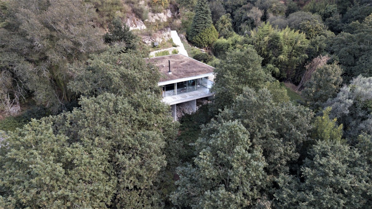 A incrível casa na árvore em Ponte da Barca: “Aqui a estrela é a natureza, não o arquiteto”