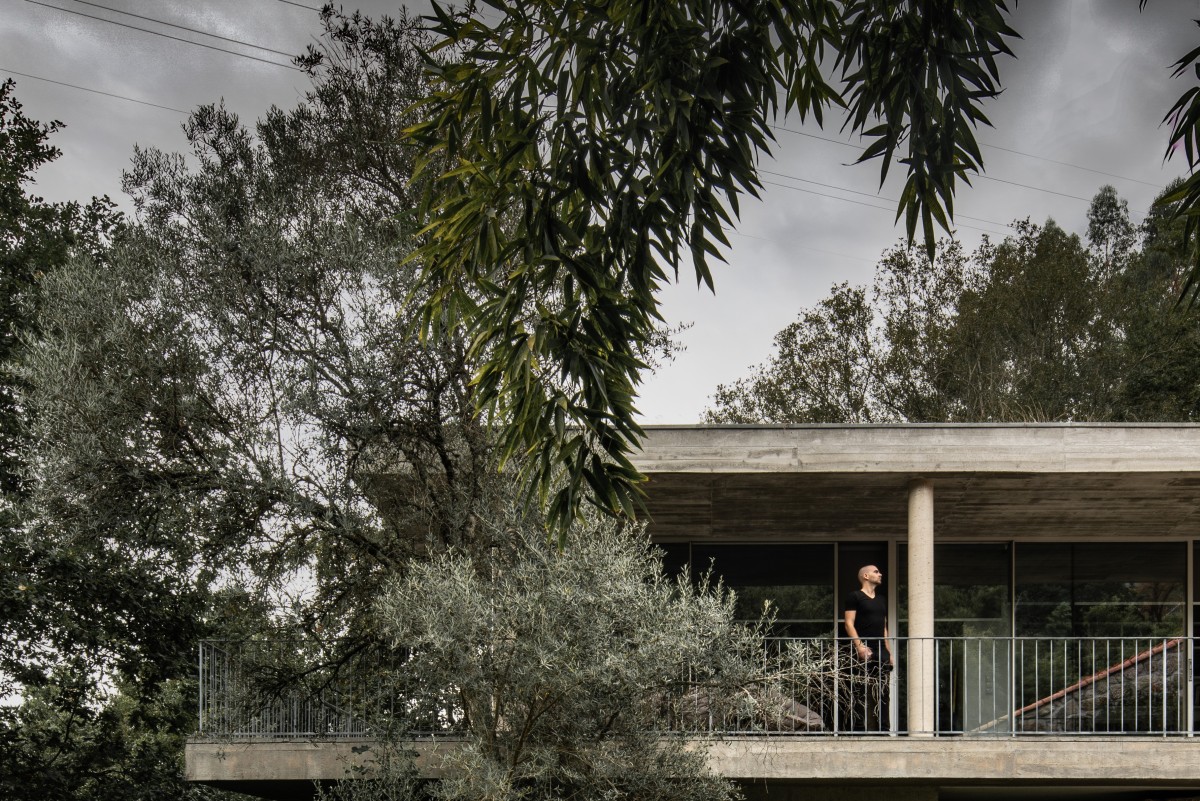 A incrível casa na árvore em Ponte da Barca: “Aqui a estrela é a natureza, não o arquiteto”