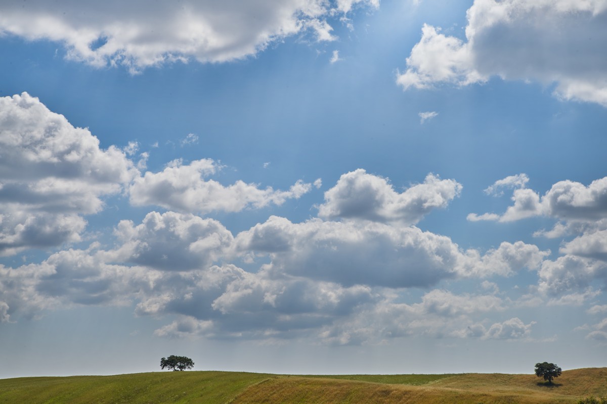 L’AND Vineyards: os segredos imobiliários do “lado selvagem da Europa”... no Alentejo