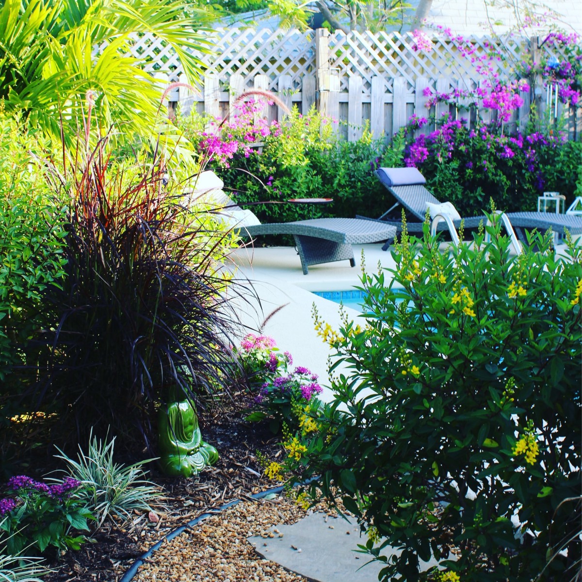 Jardim com piscina