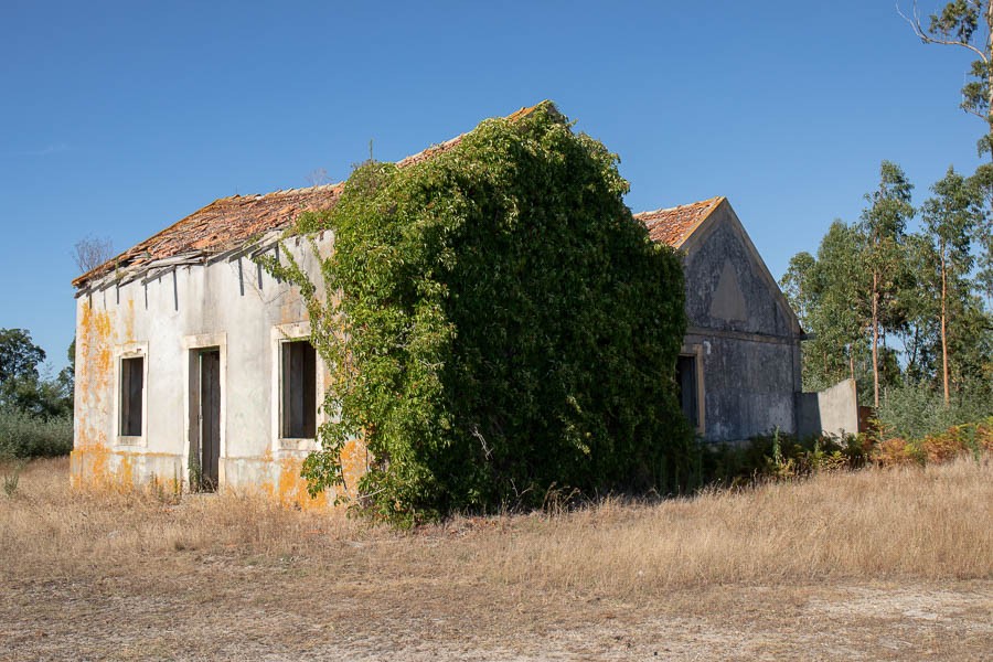 Casa florestal