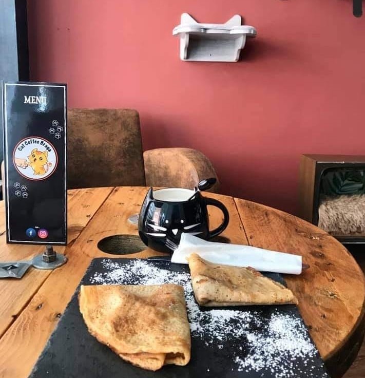  Cat Coffee Braga