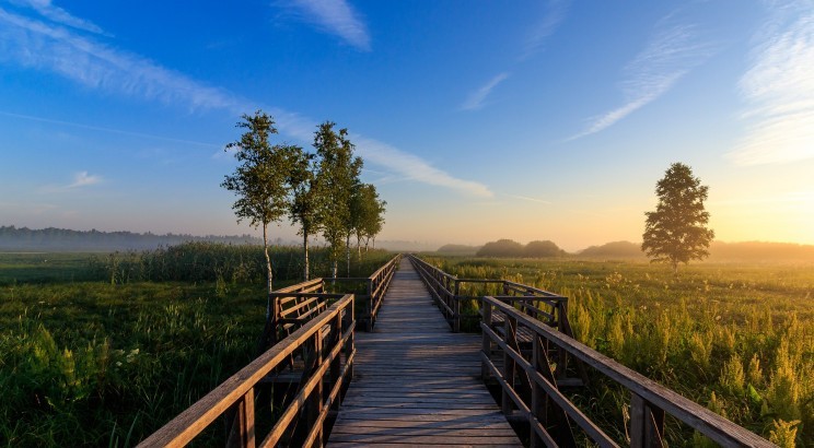 Resort de lujo en la naturaleza Portugal