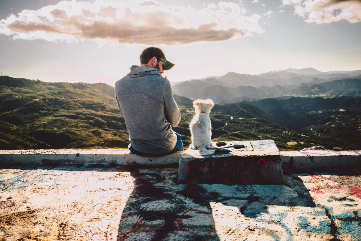 Vacaciones con mascotas en Portugal