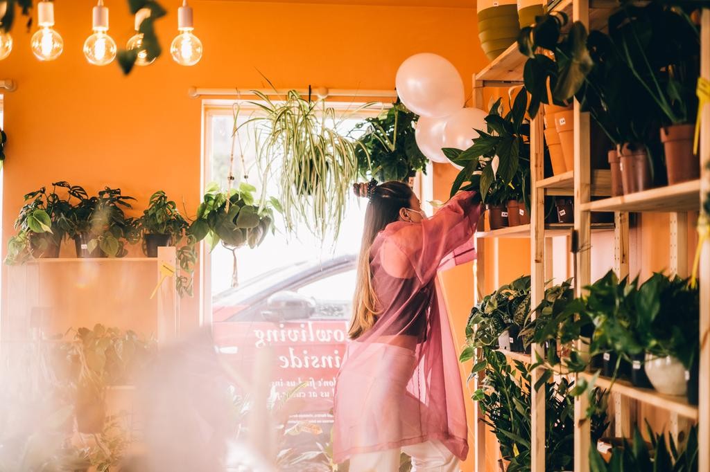 Cuidar das plantas ajuda a gerir o stress